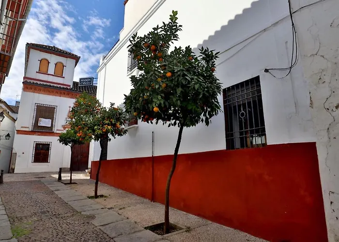 Cibeles Кордова